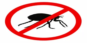 مكافحة البراغيث