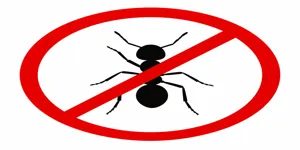 مكافحة النمل الأبيض